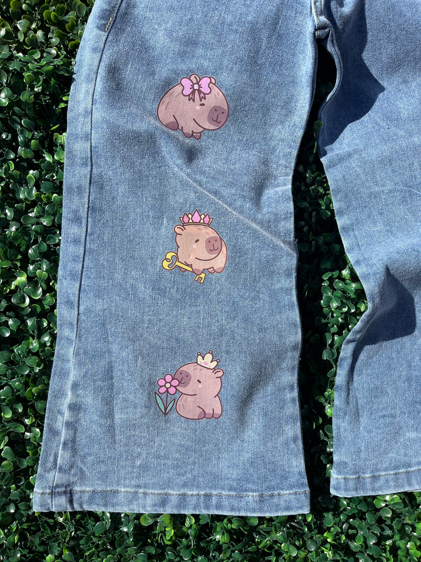 Jean capibara